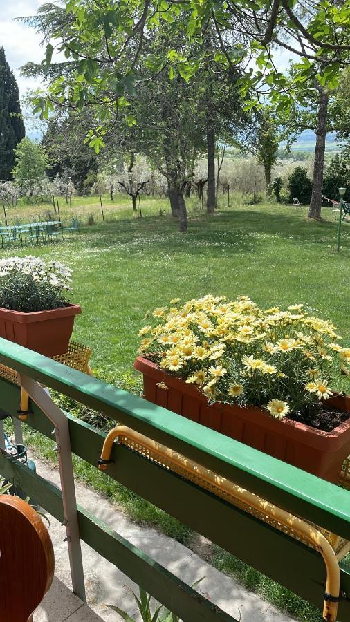 B&B Margherita Монтефалко Екстериор снимка